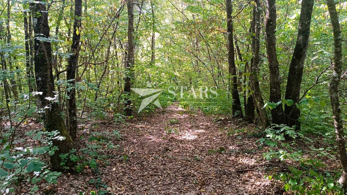 Vas Popovo - Kmetijska zemljišča - 53.418 m² (gozd, njive, pašniki, travniki)