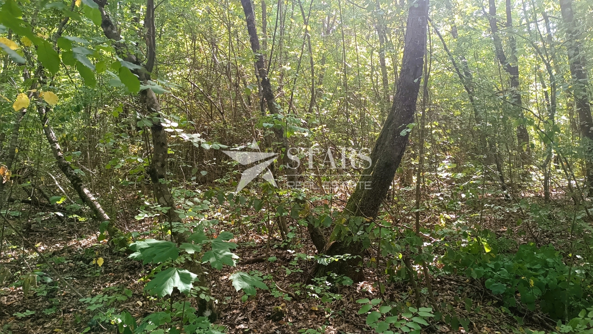 Vas Popovo - Kmetijska zemljišča - 53.418 m² (gozd, njive, pašniki, travniki)