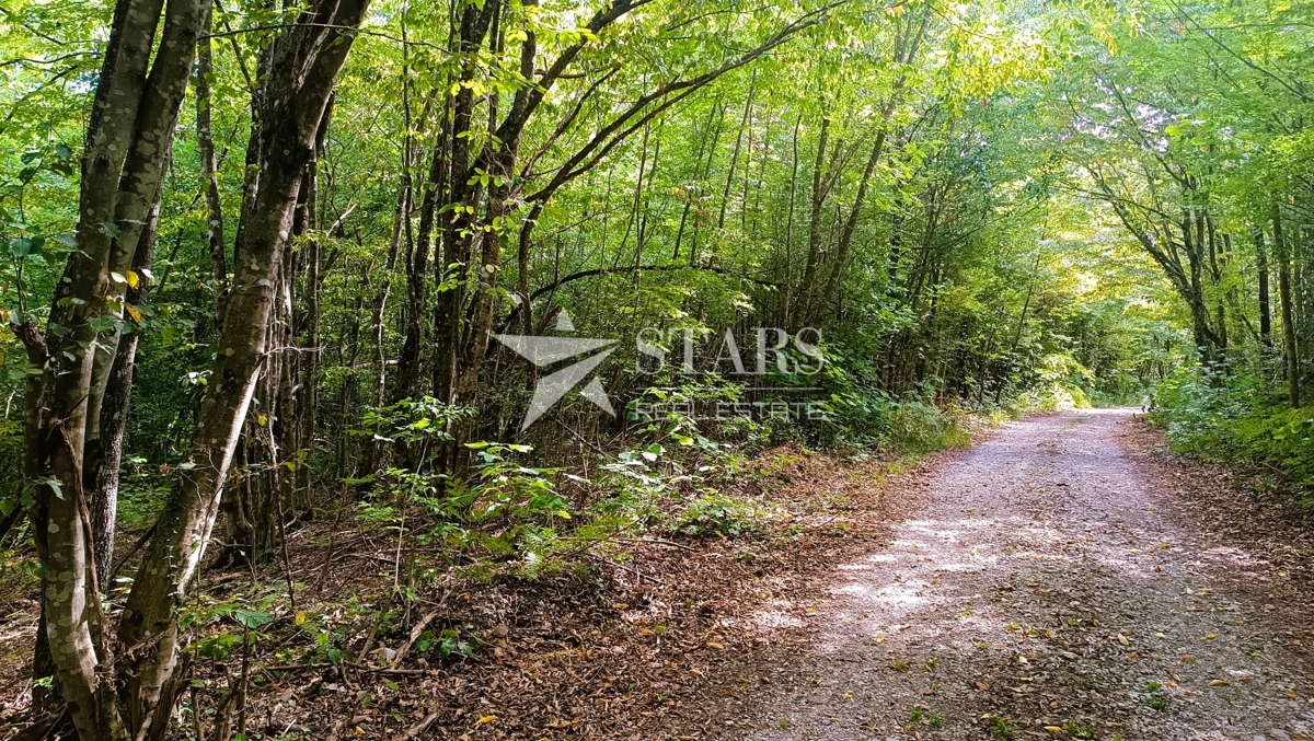 Vas Popovo - Kmetijska zemljišča - 53.418 m² (gozd, njive, pašniki, travniki)