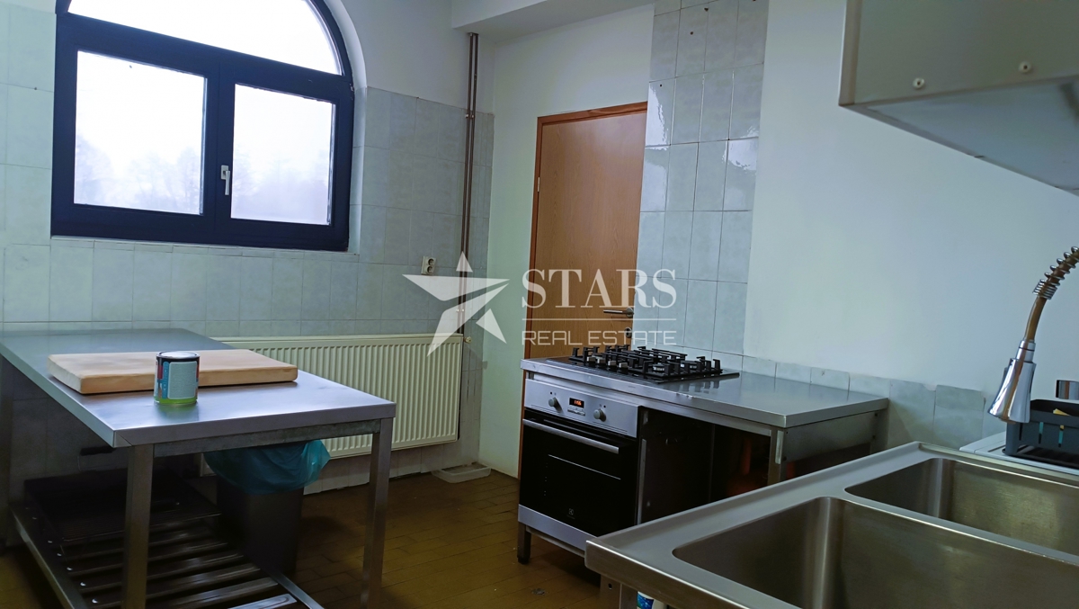 Josipdol - Stanovanjsko-poslovna nepremičnina ob potoku in starem mlinu