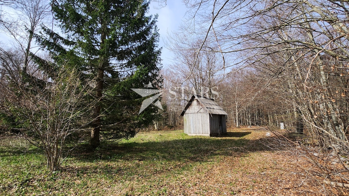 Hiša Lič, Fužine, 130m2