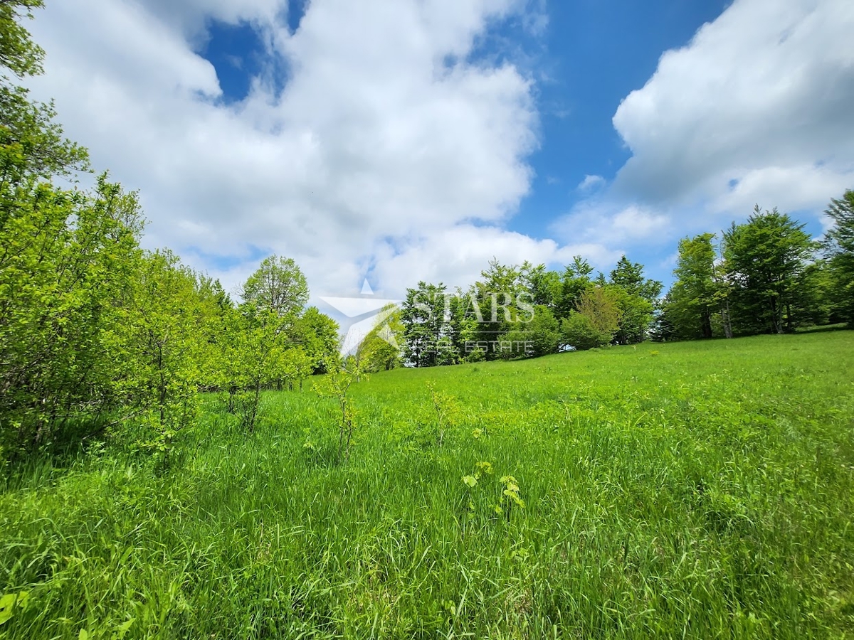 Gorski kotar, Stari Laz – Gradbena parcela s projektom 695 m2