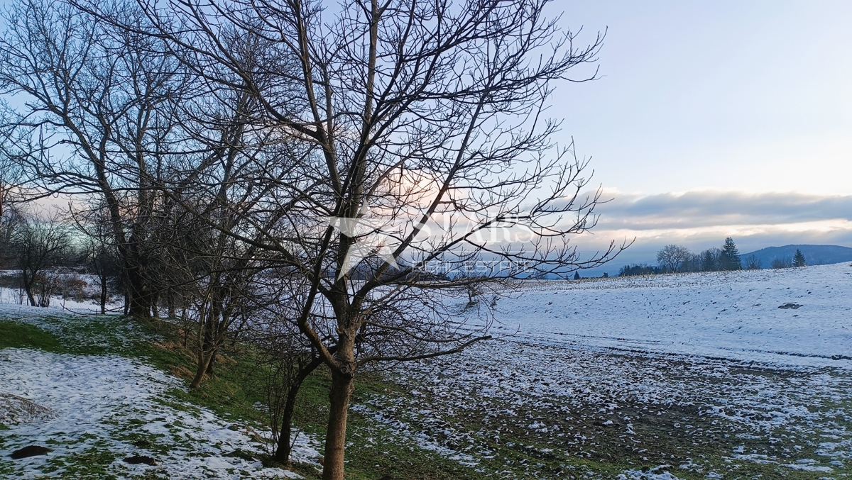 Josipdol - Oštarje, hiša z velikim vrtom