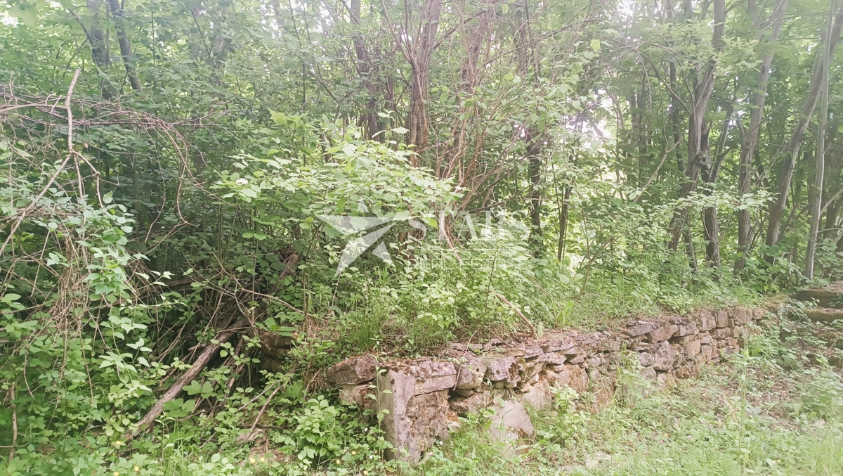 Tounj - Zemljišče, gradbeno območje, narava in potencial na enem mestu!