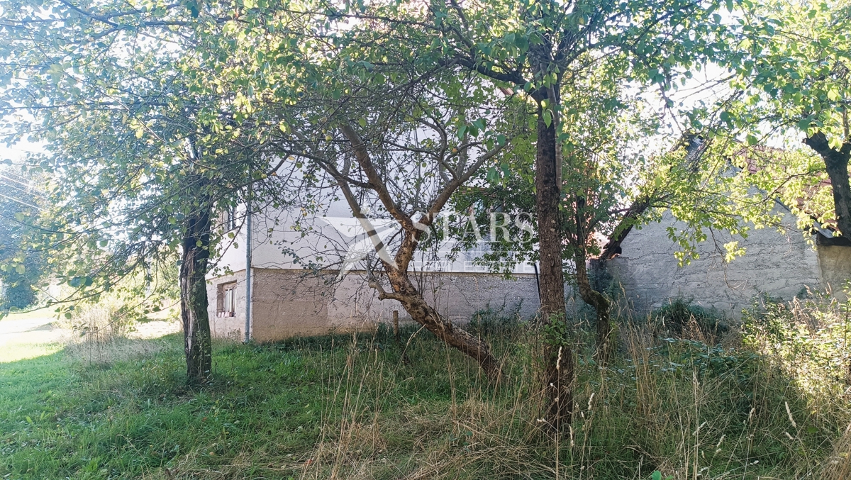 Prodaja nepremičnine za prenovo v bližini centra Plaškega