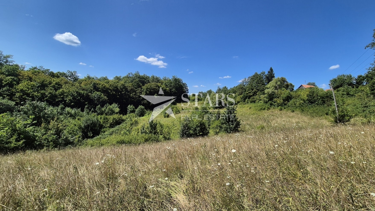 BUKOVLJE, GENERALSKI STOL – KMETIJSKO ZEMLJIŠČE S POTENCIALOM, 5.963 m²