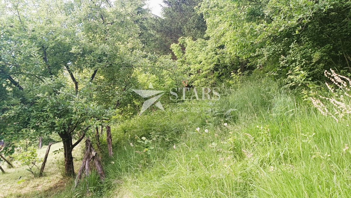 Barilović - Kmetijsko zemljišče z jelovim gozdom 5.016 m2