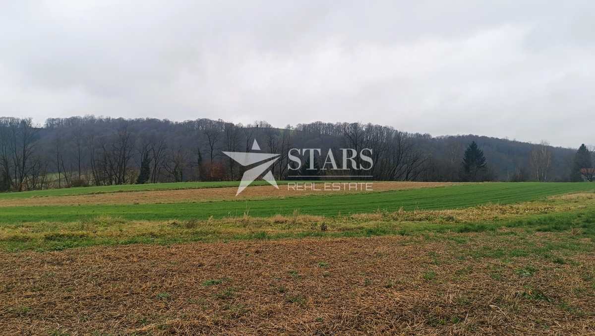 Barilović - Zemljišče v gradbeni coni 2 485 m2