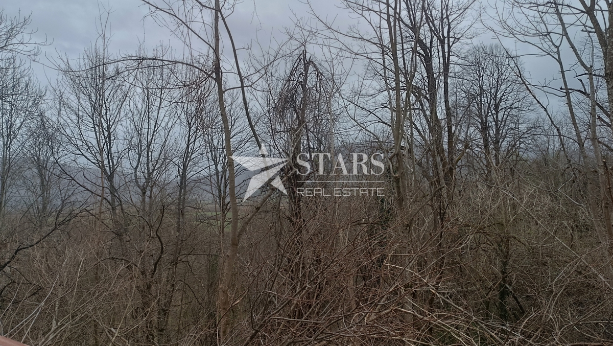 Plaški - Stavbno in kmetijsko zemljišče z ruševinami