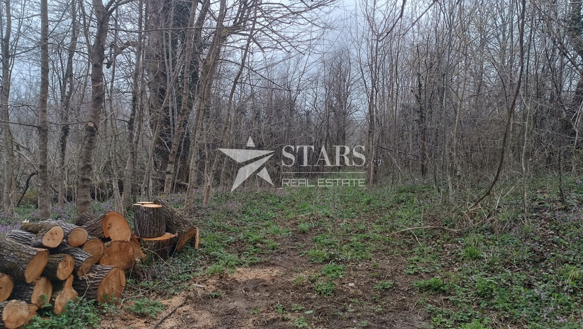 Plaški - Stavbno in kmetijsko zemljišče z ruševinami