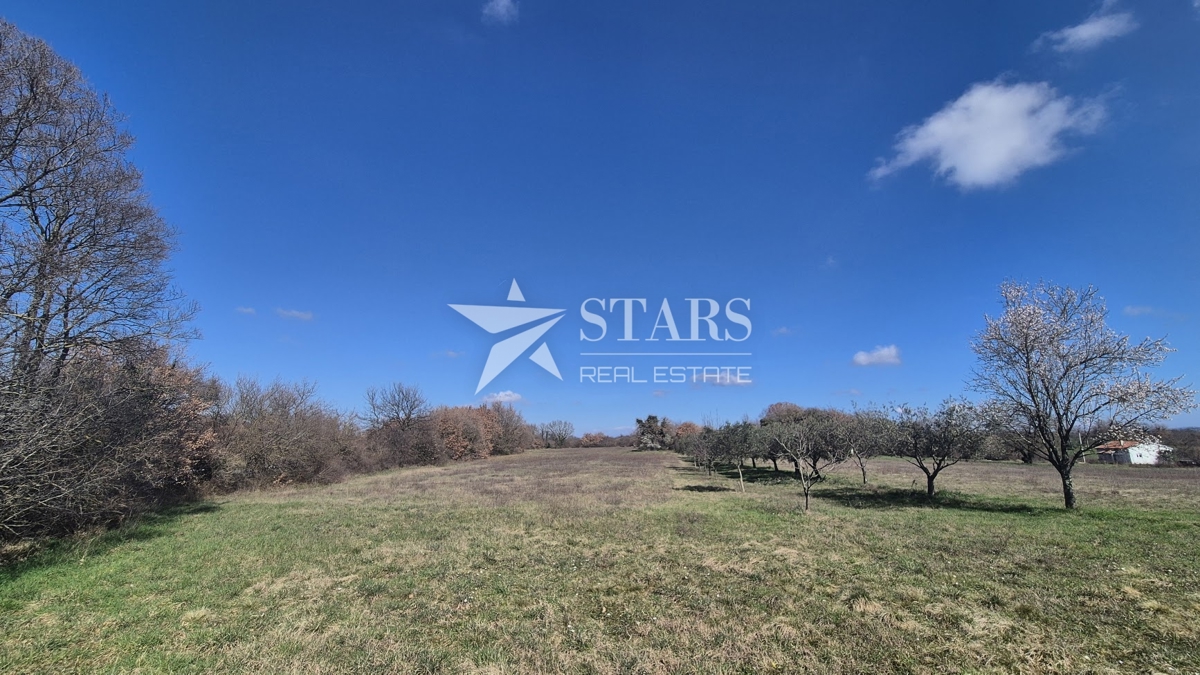 Istra, Ližnjan – Muntić – zazidljivo in kmetijsko zemljišče 5.350 m²