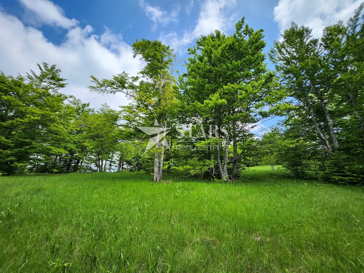 Gorski kotar, Stari Laz – Stavbno & kmetijsko zemljišče, 2614 m²