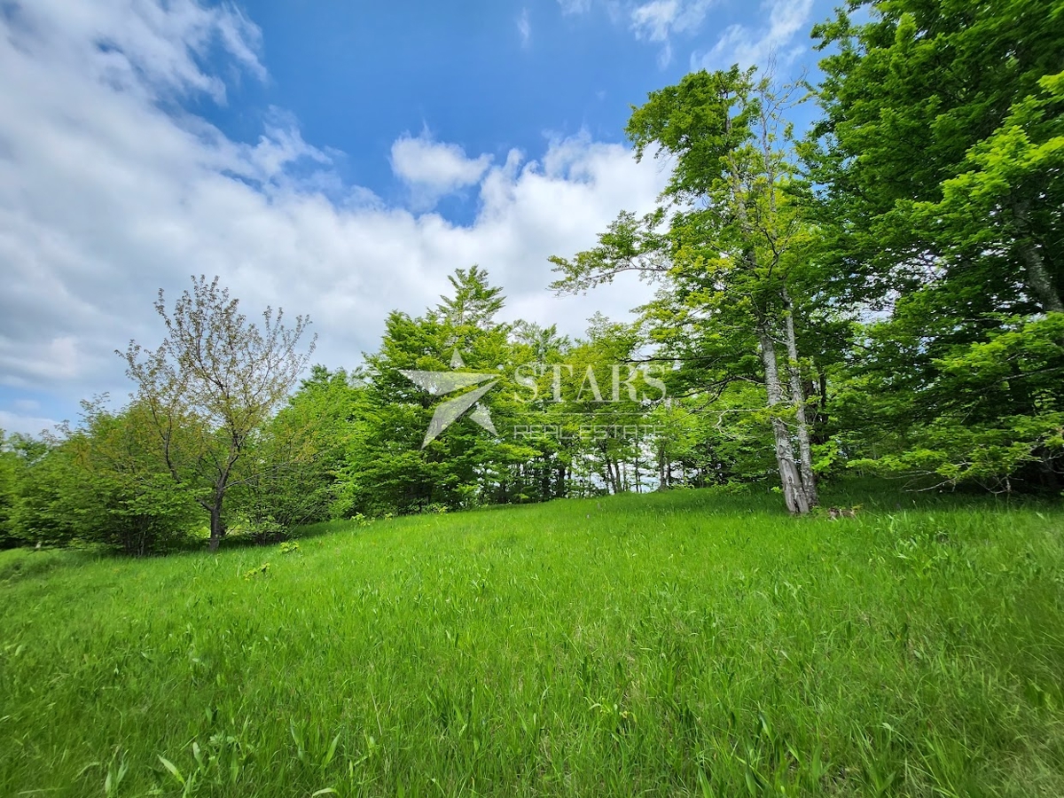 Gorski kotar, Stari Laz – Stavbno & kmetijsko zemljišče, 2614 m²