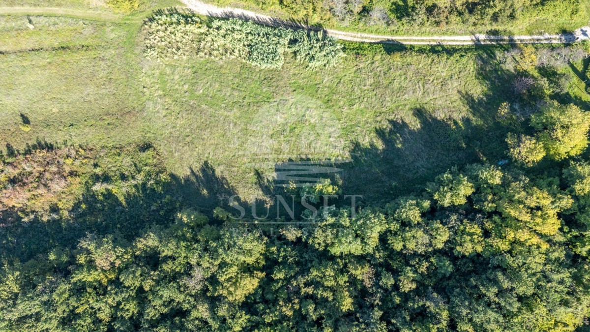 ZAZIDLJIVO ZEMLJIŠČE Z RAZGLEDOM NA MOTOVUN