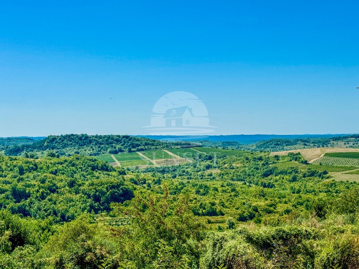 HIŠA V BUJAH – SAMO PRI NAS V PONUDBI