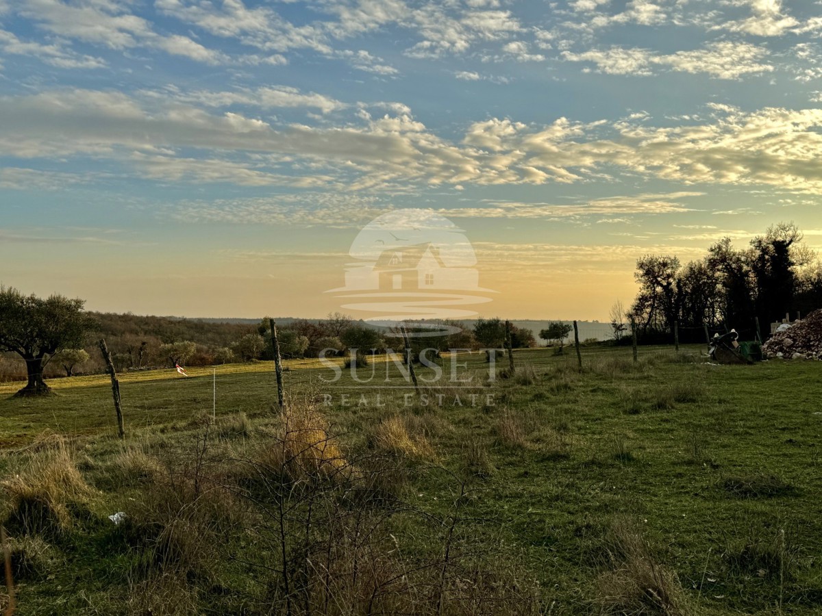Istra, okolica Novigrada - gradbeno zemljišče 500 m2