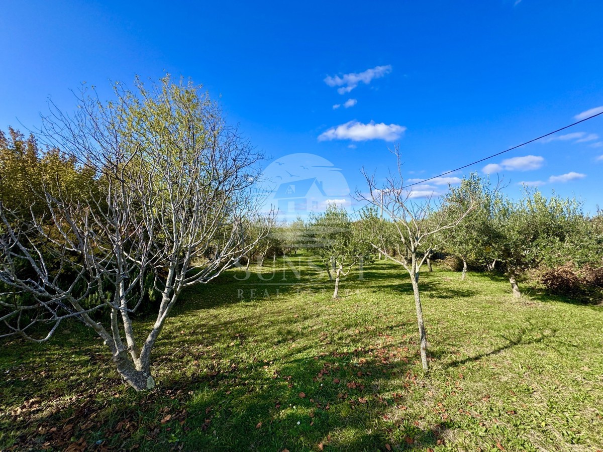 ČAROBNA VIKEND HIŠICA S POGLEDOM NA OPRTALJ – MIR, OLJKE IN ISTRSKI DUH