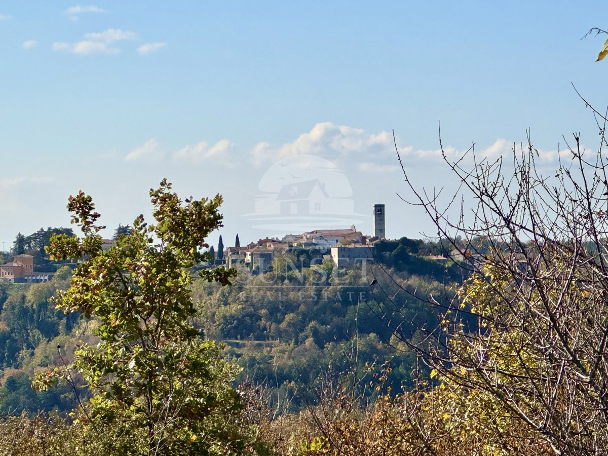ČAROBNA VIKEND HIŠICA S POGLEDOM NA OPRTALJ – MIR, OLJKE IN ISTRSKI DUH