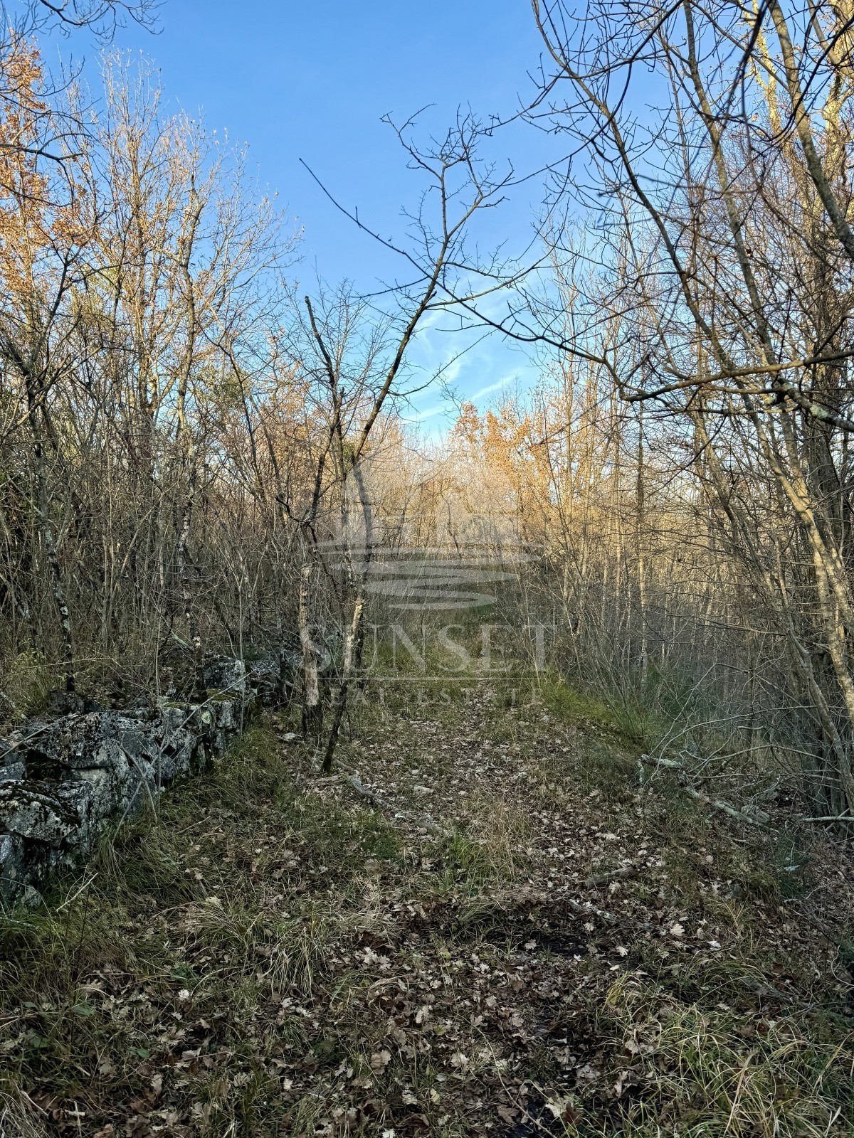 Istra, okolica Buj – Prostorno zemljišče 18.000 m² z vpisanim objektom 40 m²