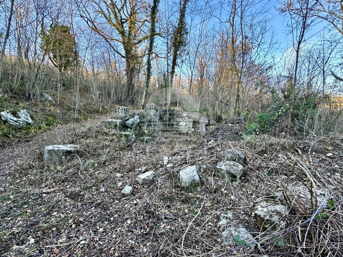 Istra, okolica Buj – Prostorno zemljišče 18.000 m² z vpisanim objektom 40 m²