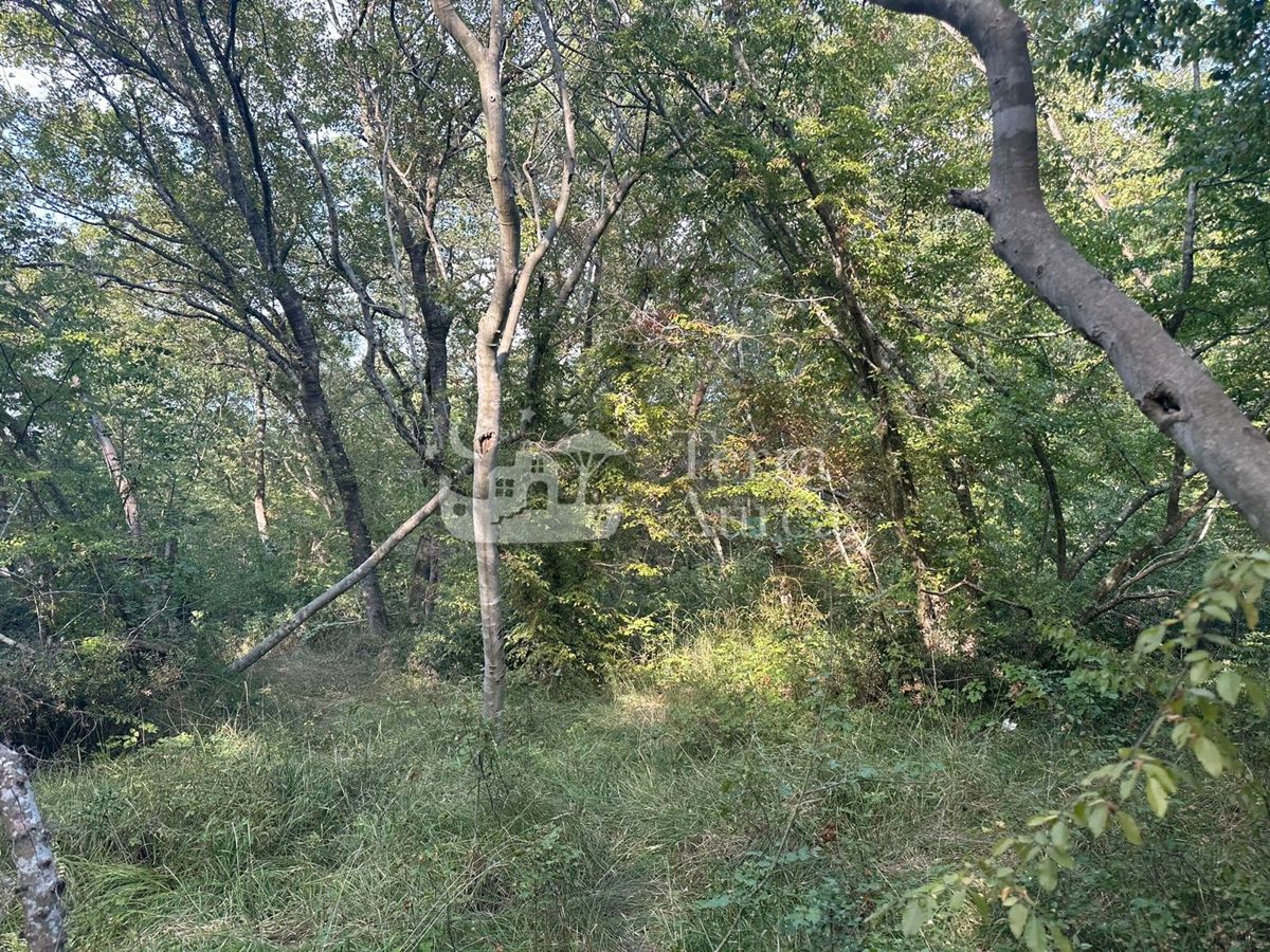 Kmetijsko zemljišče Garica, Vrbnik, 2.222m2