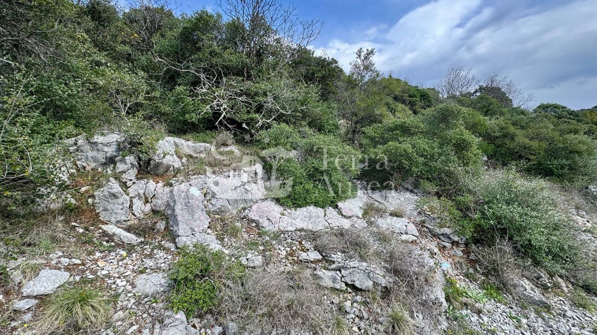 Kmetijsko zemljišče Krk, 3.700m2