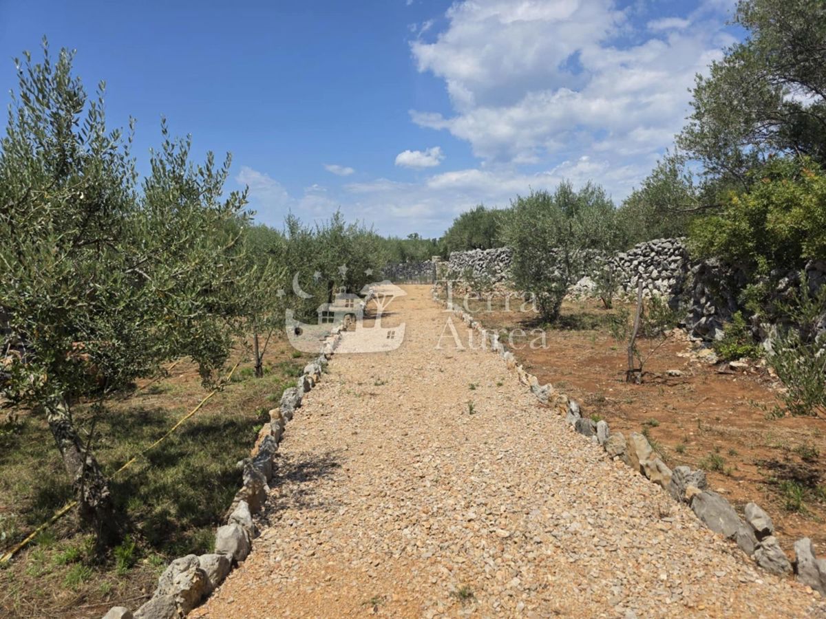 Kmetijsko zemljišče Krk, 2.500m2
