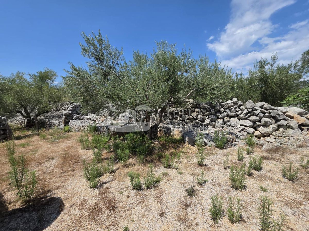 Kmetijsko zemljišče Krk, 2.500m2