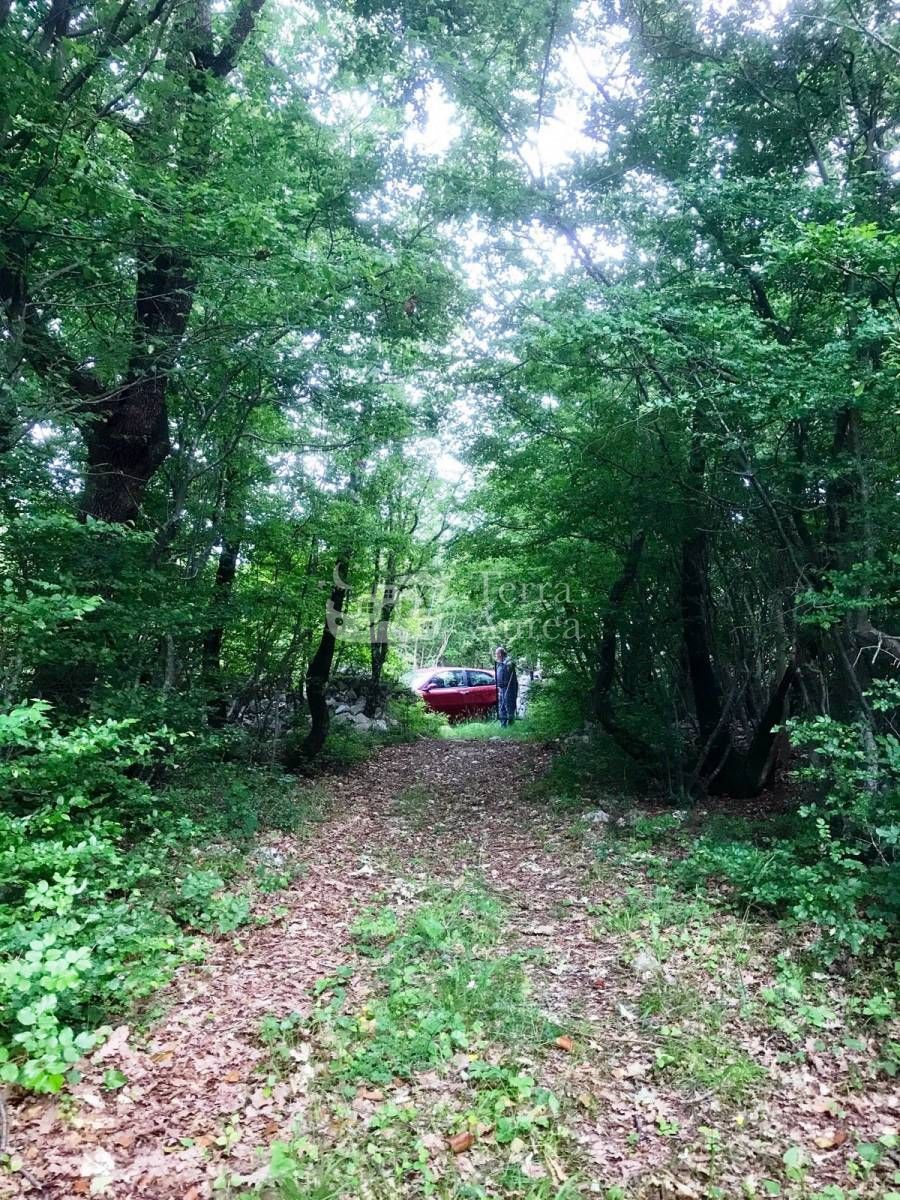 Kmetijsko zemljišče Milohnići, Krk, 9700m2