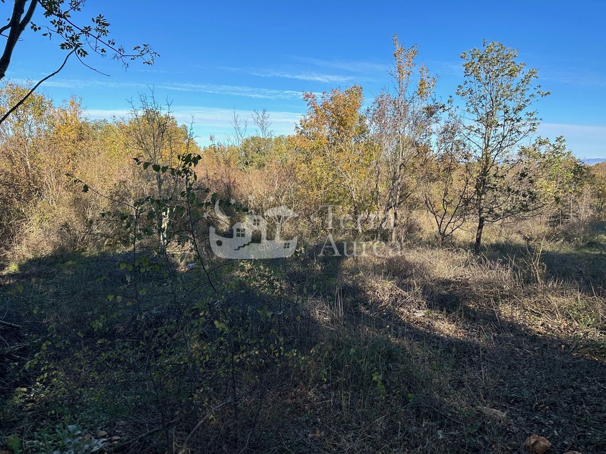 Kmetijsko zemljišče Krk, 1.100m2