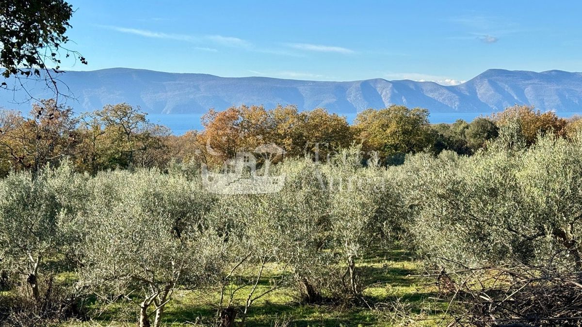 Gradbena zemljišča Krk, 7.594m2