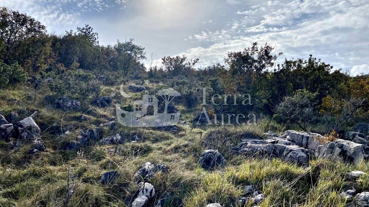 Veliko kmetijsko zemljišče z dostopom do morja, Soline, otok Krk