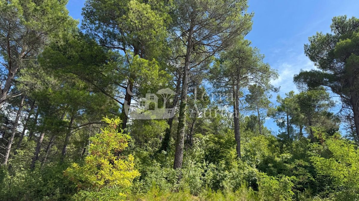 Apartma Soline, Dobrinj, 59,15m2