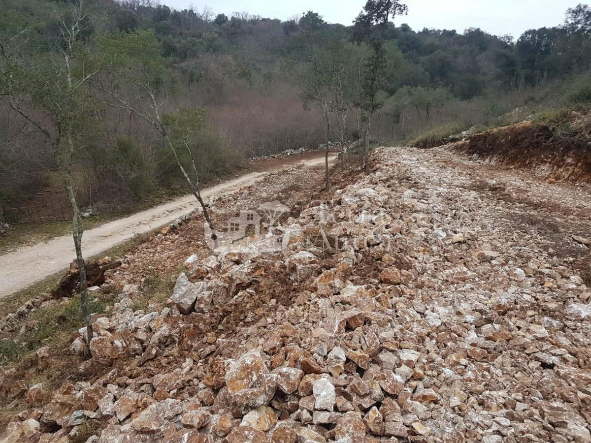 Kmetijsko zemljišče Krk, 12.556m2