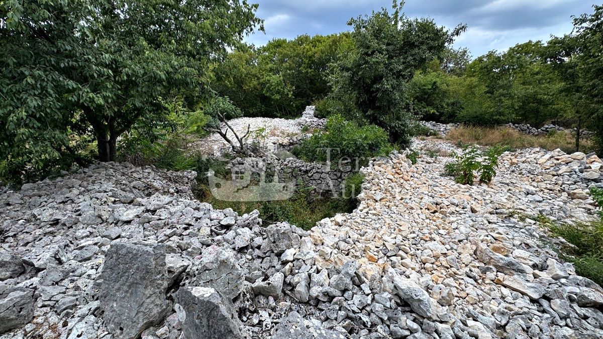 Gradbena zemljišča Vrbnik, 1.050m2