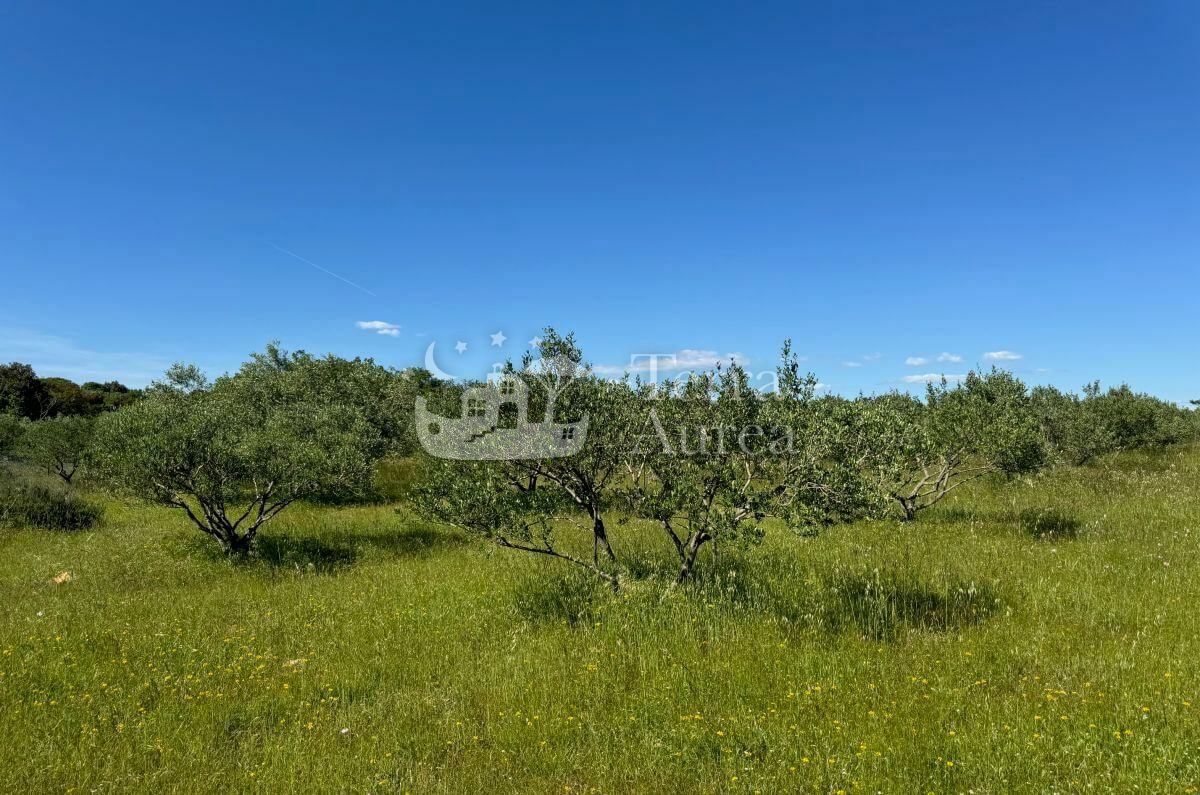 Zemljišče Krk, 34.500m2