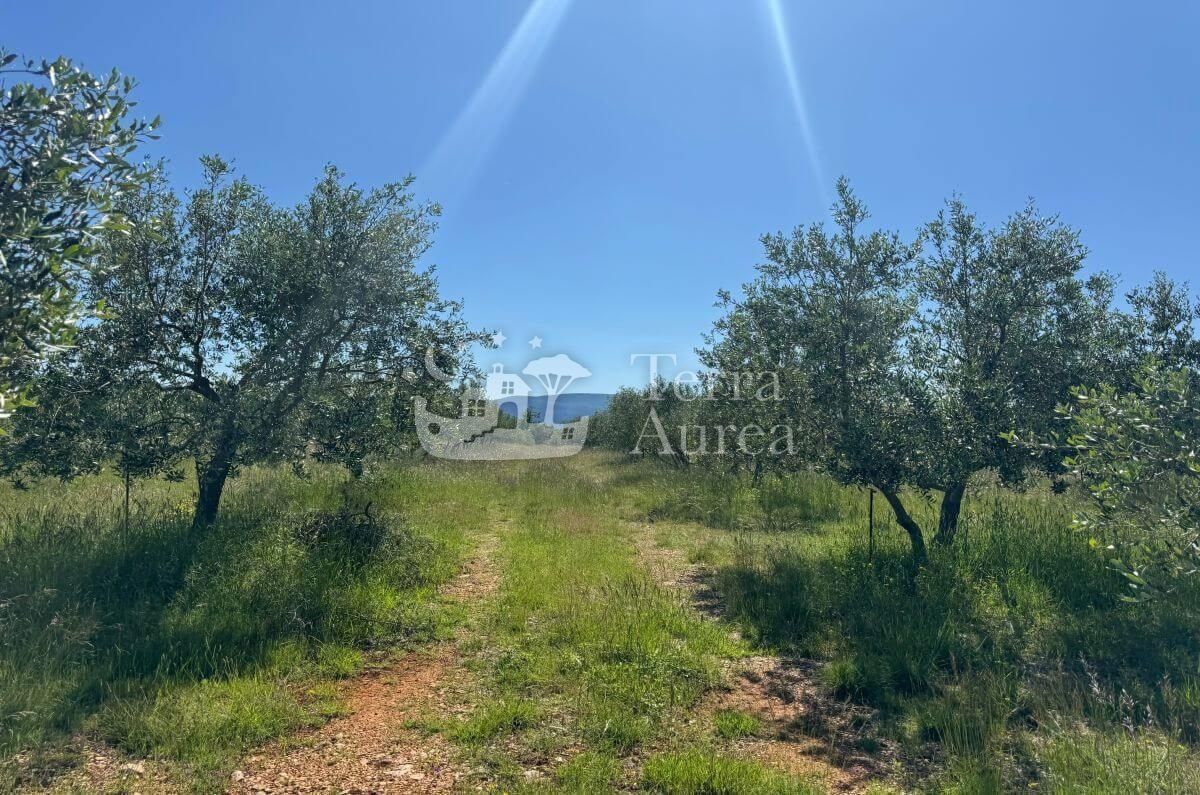 Zemljišče Krk, 34.500m2