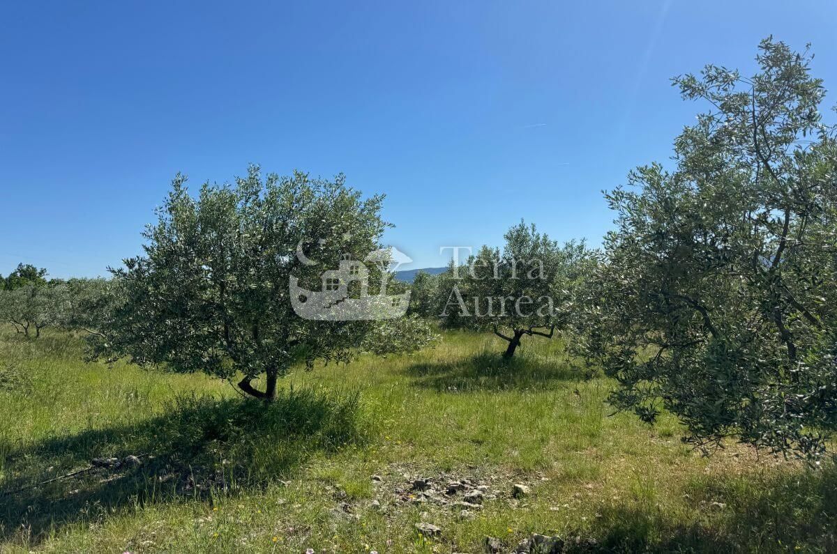 Zemljišče Krk, 34.500m2