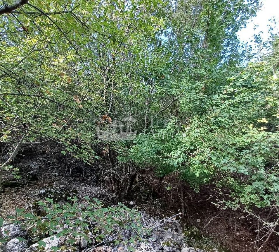 Gradbena zemljišča Dobrinj, 2.064m2