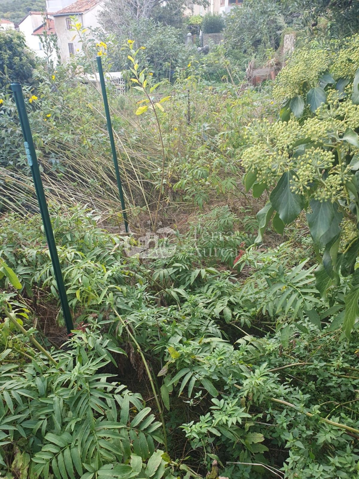Stara hiša Vrbnik, 66m2