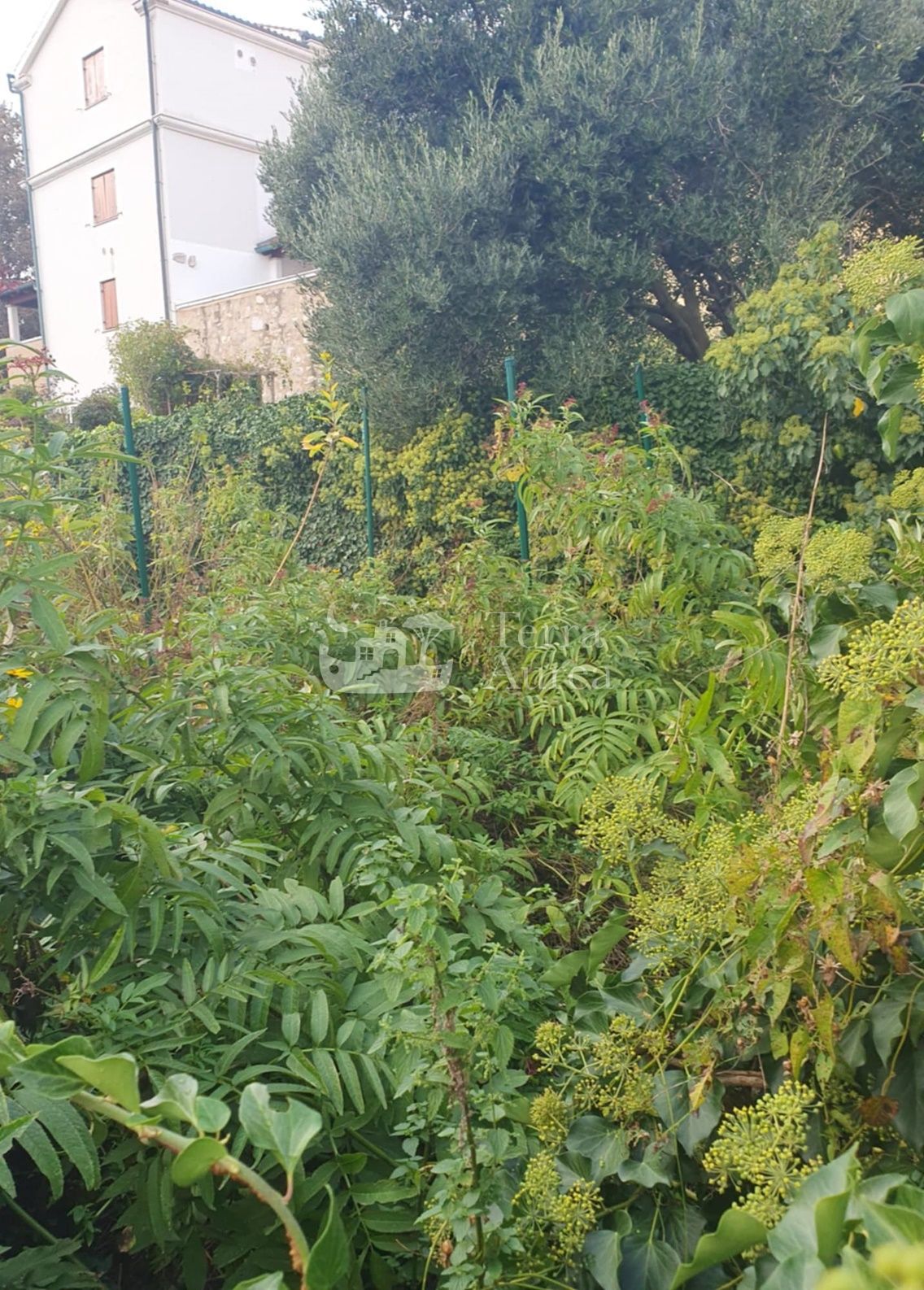 Stara hiša Vrbnik, 66m2