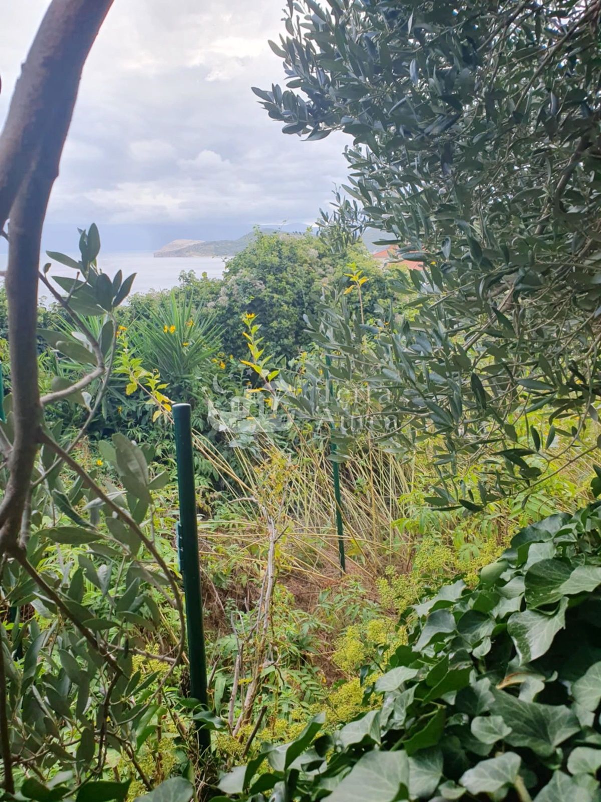 Stara hiša Vrbnik, 66m2