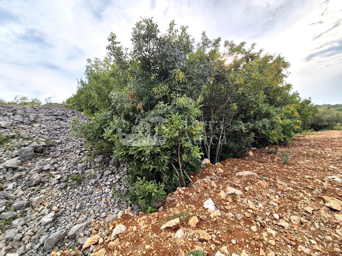 Gradbena zemljišča Krk, 1.370m2