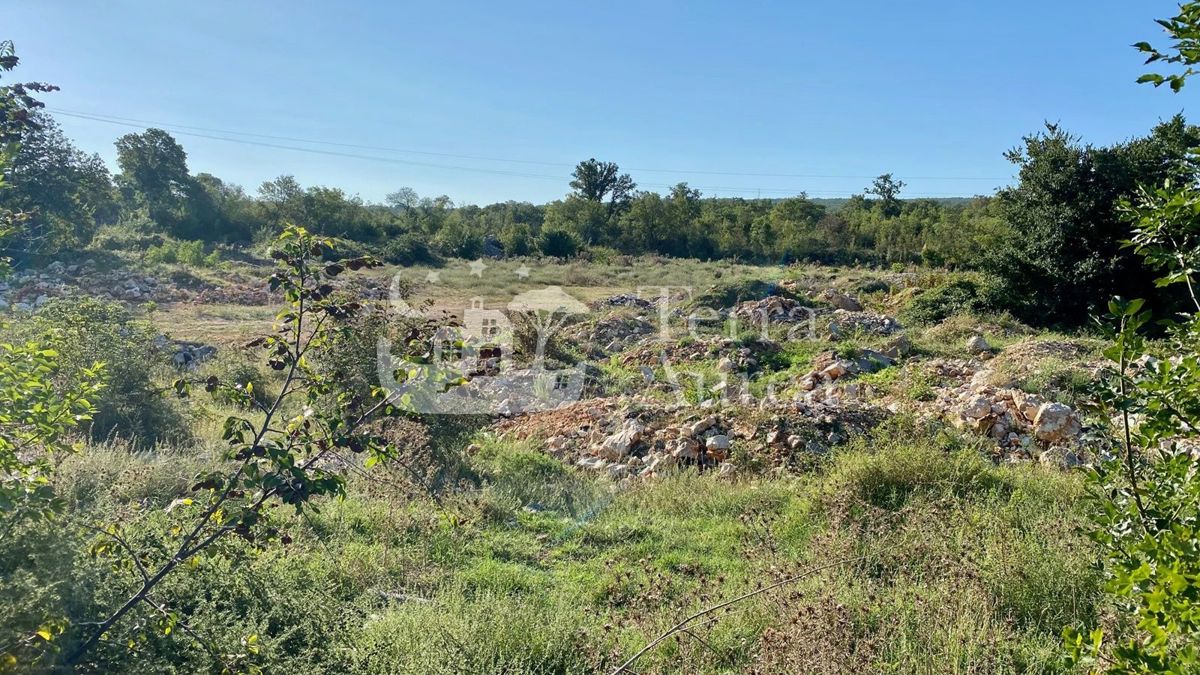 Kmetijsko zemljišče Malinska, Malinska-Dubašnica, 8.000m2