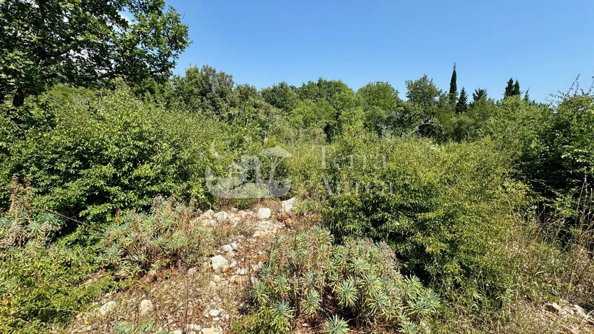 Gradbena zemljišča Krk, 1.000m2