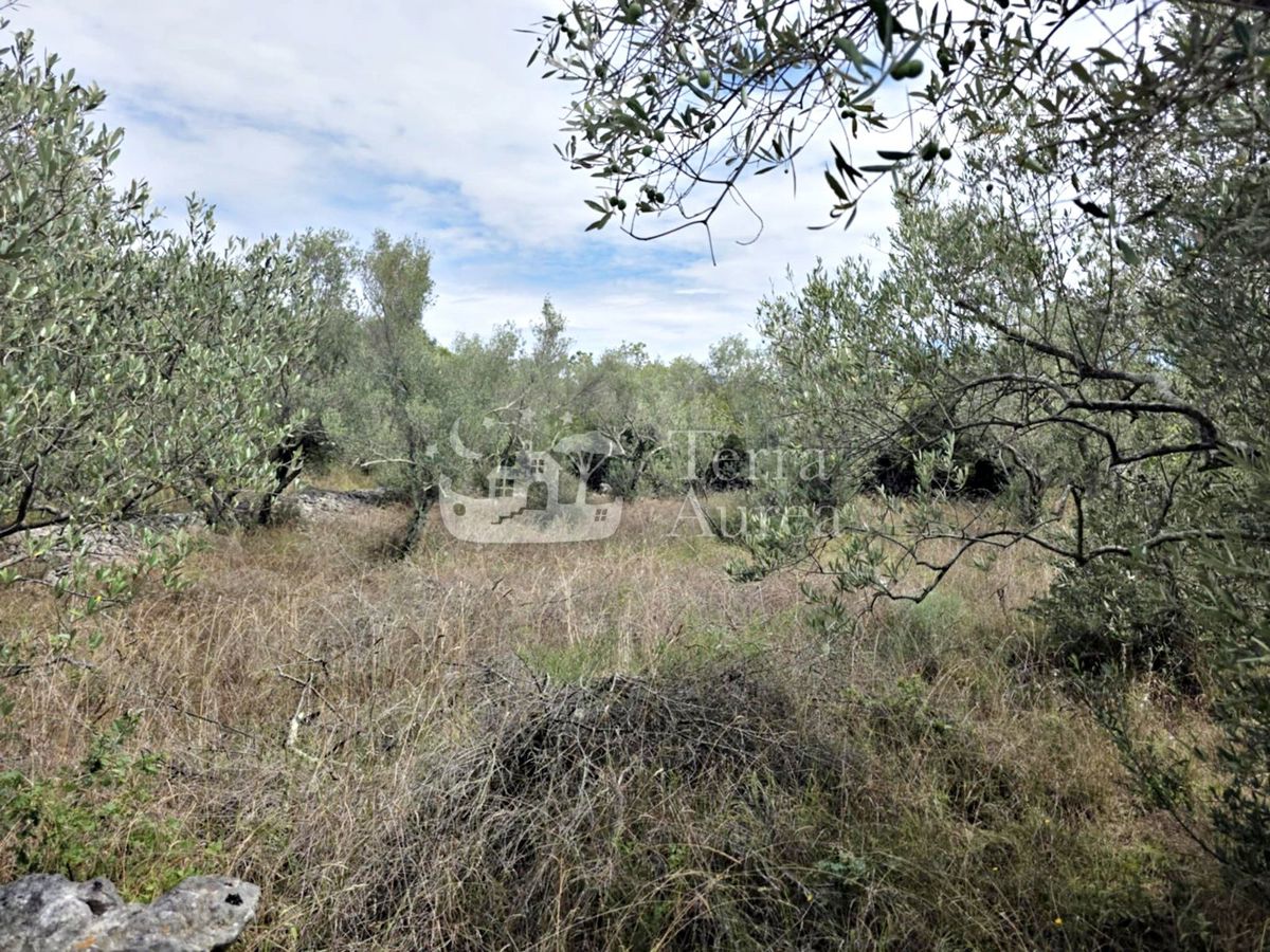 Kmetijsko zemljišče Krk, 1.025m2