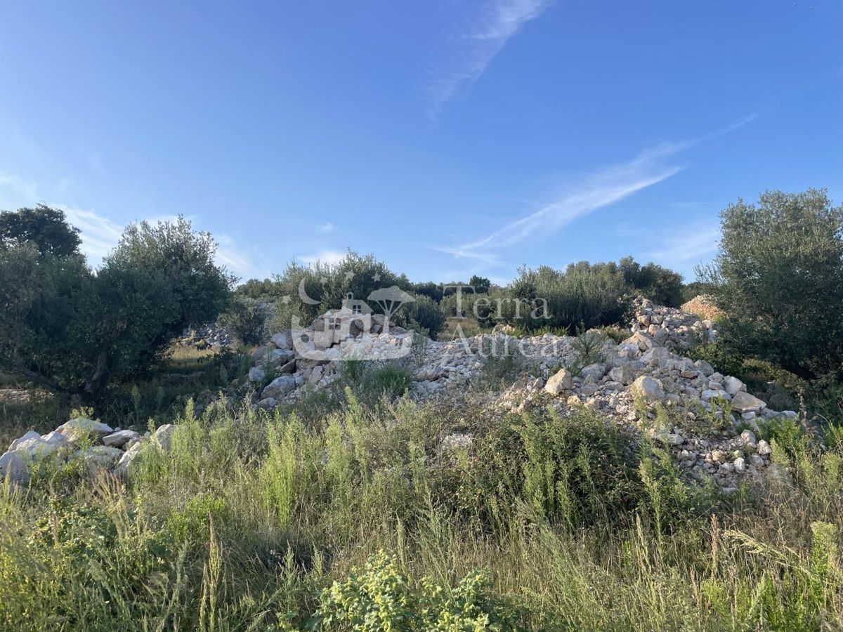 Gradbena zemljišča Krk, 729,71m2