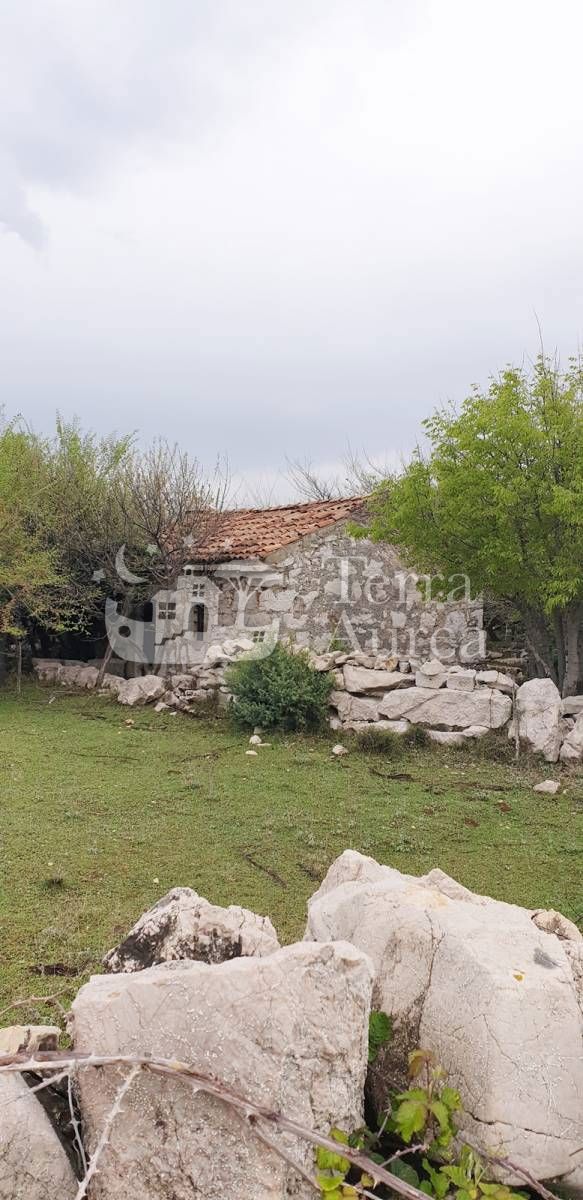 Stara hiša Sužan, Dobrinj, 40m2