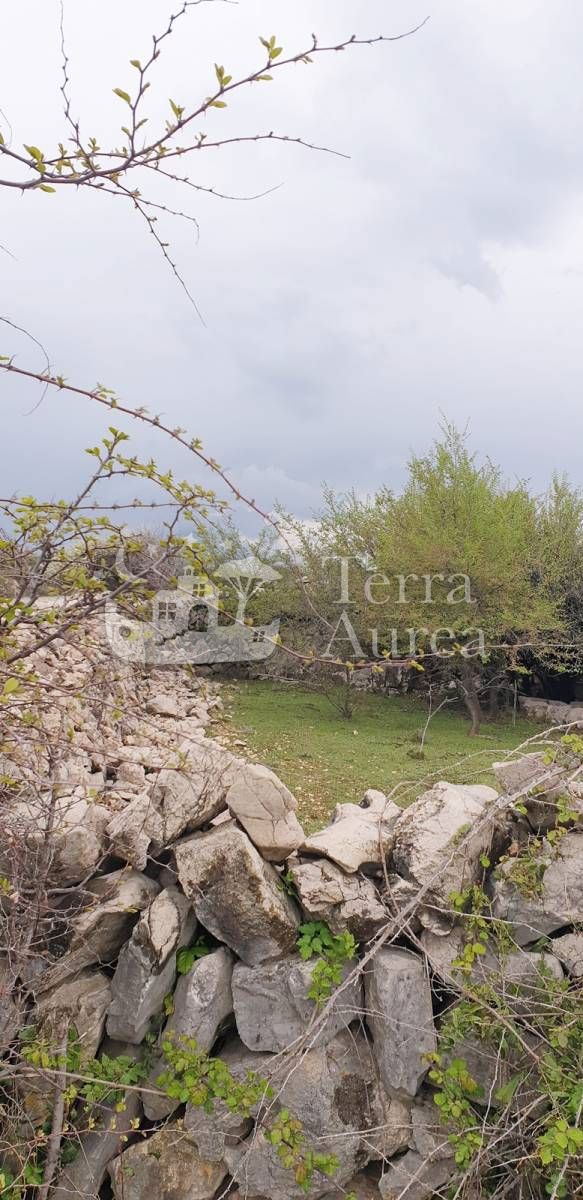 Stara hiša Sužan, Dobrinj, 40m2