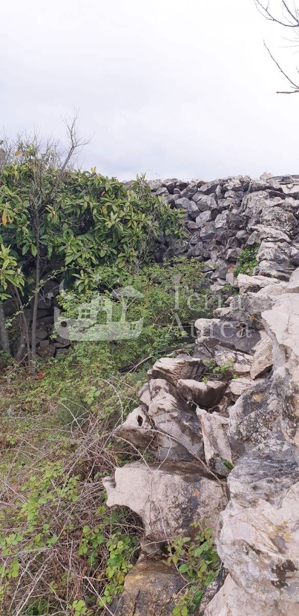 Stara hiša Sužan, Dobrinj, 40m2